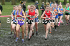 Senior girls, 2020 New Balance English Schools Champs., Sefton Park, Liverpool. Photo: David T. Hewitson/Sports for All Pics